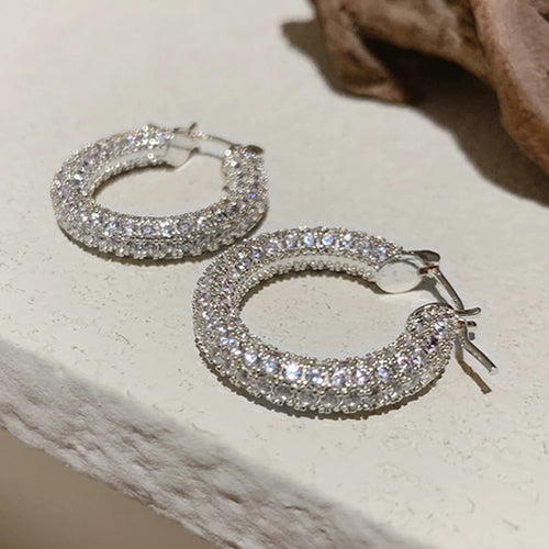 Luxury Small/Big Hoop Earrings for Women Silver Color/Gold Color Daily Wear Versatile Earrings Statement Jewelry