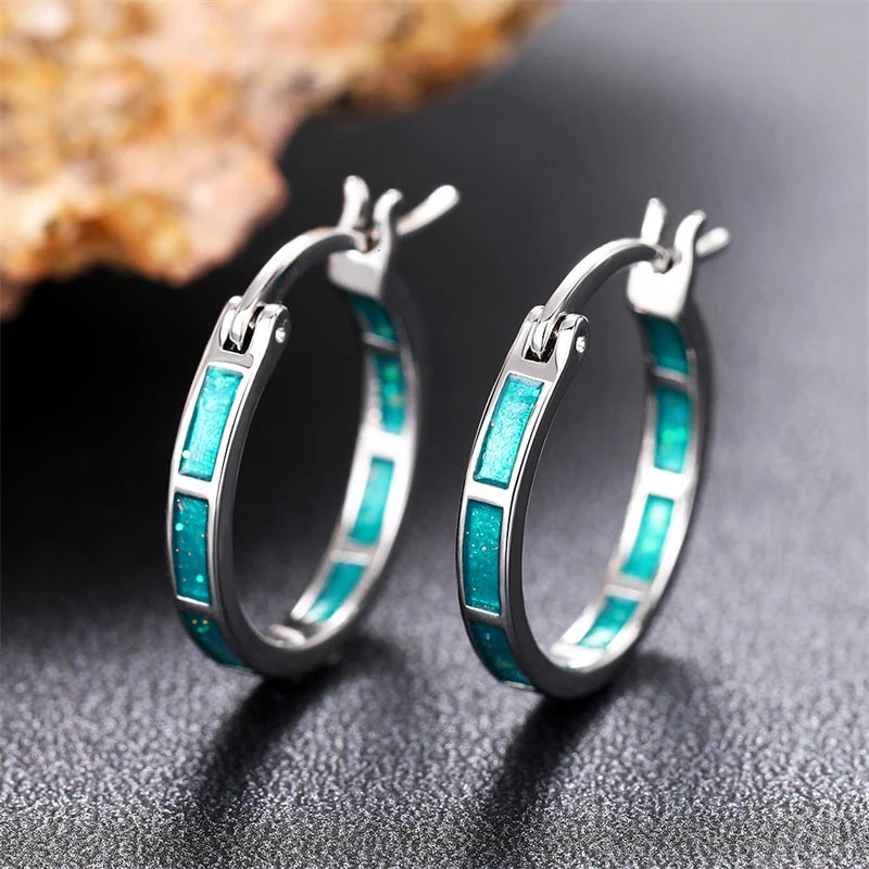 Fashion Hoop Earrings Female Low-key Versatile Ear Loop Accessories Simple Stylish Daily Wearable Jewelry - EUFASHIONBAGS