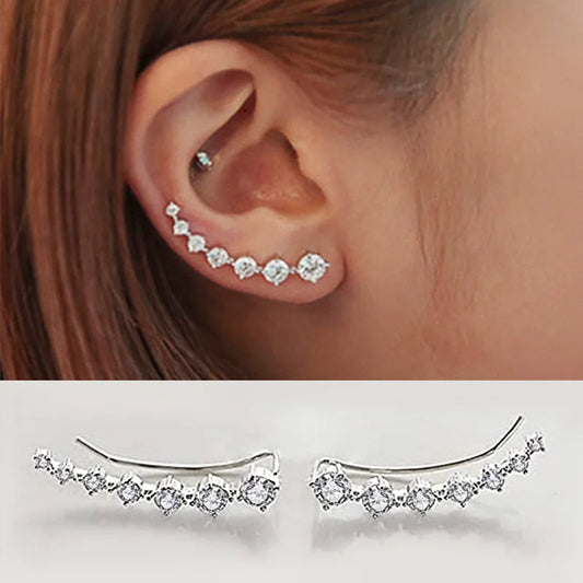 Versatile Pierced Earrings Lady Engagement Accessories with Brilliant Cubic Zirconia Fashion Women Daily Jewelry