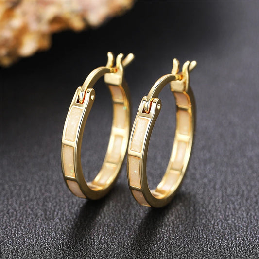 Fashion Hoop Earrings Female Low-key Versatile Ear Loop Accessories Simple Stylish Daily Wearable Jewelry - EUFASHIONBAGS