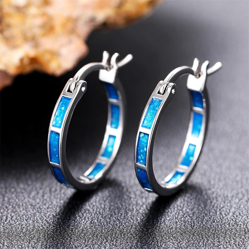 Fashion Hoop Earrings Female Low-key Versatile Ear Loop Accessories Simple Stylish Daily Wearable Jewelry - EUFASHIONBAGS